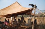 image of Crow perches on a makeshift pavilion at Azad Maidan, Mumbai