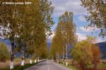 image of Bulgaria - the road to Rila