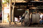 image of Kolkata - cycle rickshaw