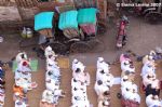 image of Kolkata - Eid prayers in Iqbalpoor
