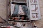 image of Lebanon - old city Tripoli