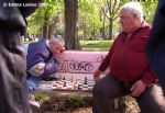 image of Sofia - chess in the park
