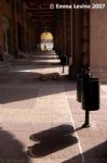 image of Sofia - tsum arcade