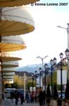 image of Sofia - tsum exterior and Vitosha mountains