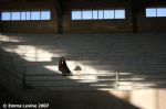 image of Tehran - spectator at women-only indoor football match